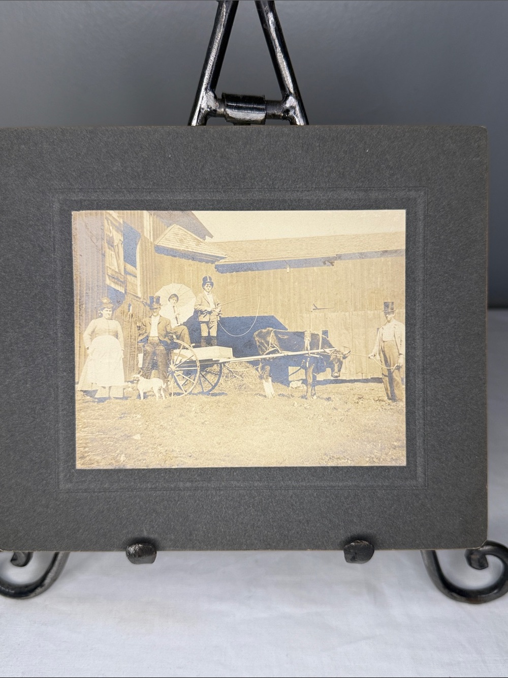 Antique Pug Dog Family Photo Horse & Wagon Farm Scene Mounted Photograph 7x6